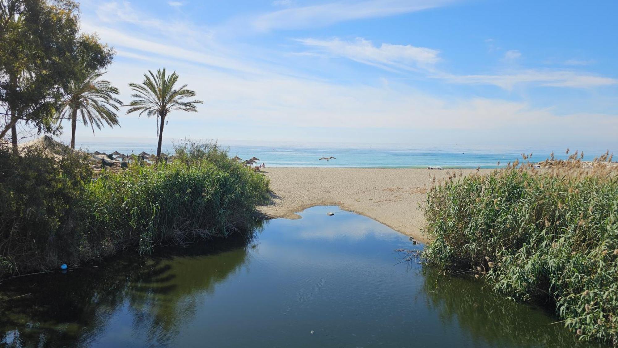 Appartamento Puerto Banus 2Linea Playa,Piscina Y Parking Marbella Esterno foto